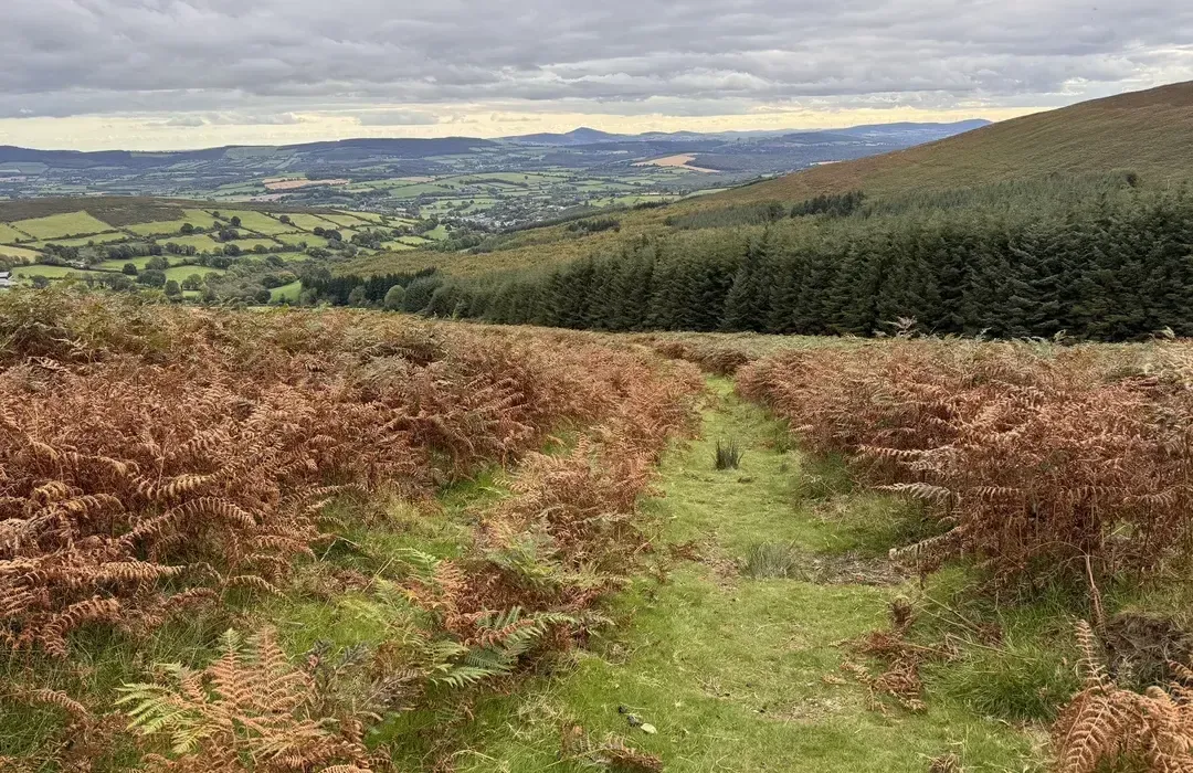 Walking holiday Ireland — gallery image 7