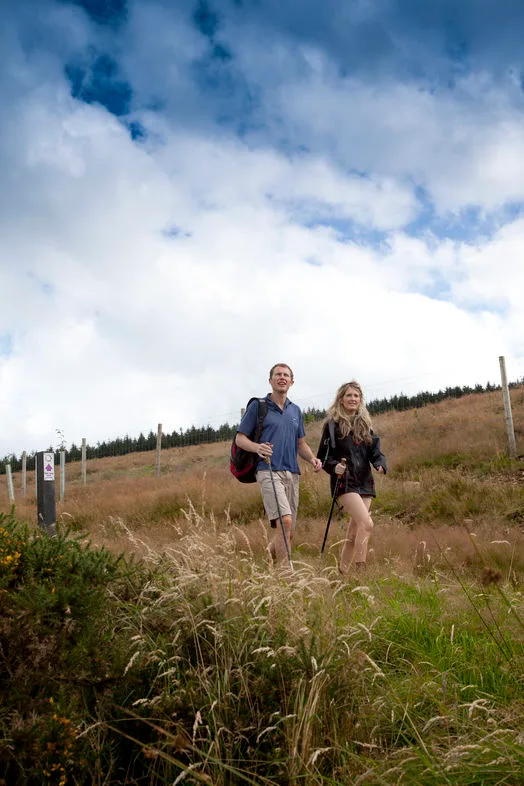 Walking holiday Ireland — gallery image 8