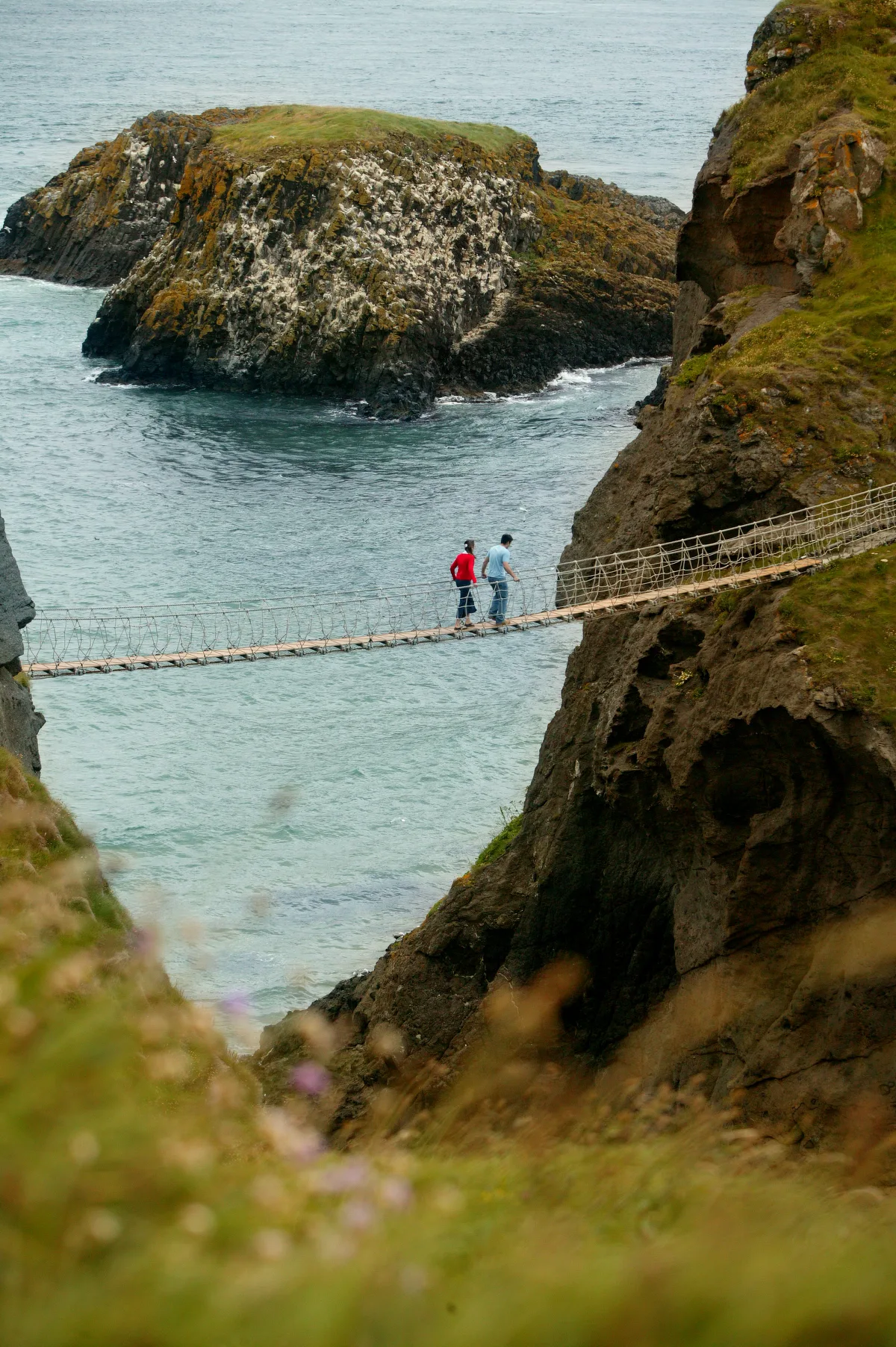 Carrick-a-Rede rope bridge near the Causeway Coast Way, County Antrim