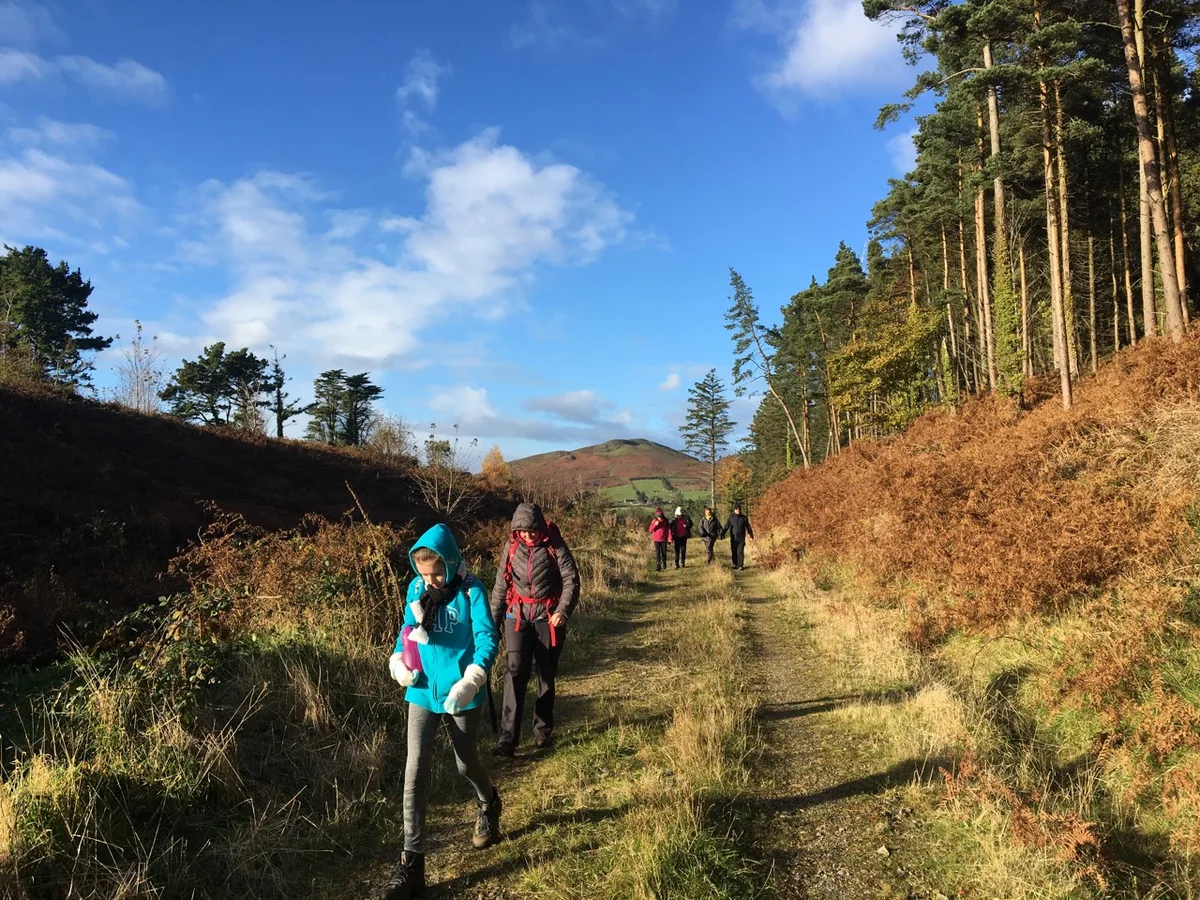Walking holiday Ireland — gallery image 6