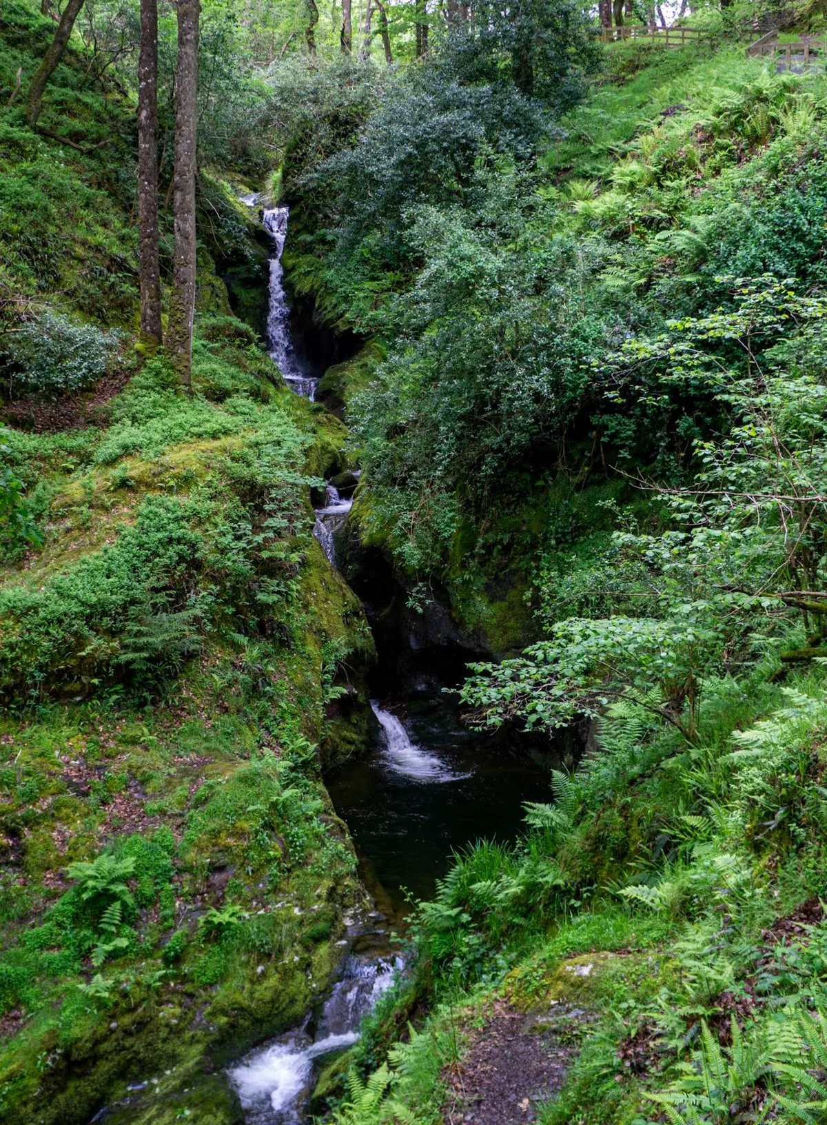 Walking holiday Ireland — gallery image 8
