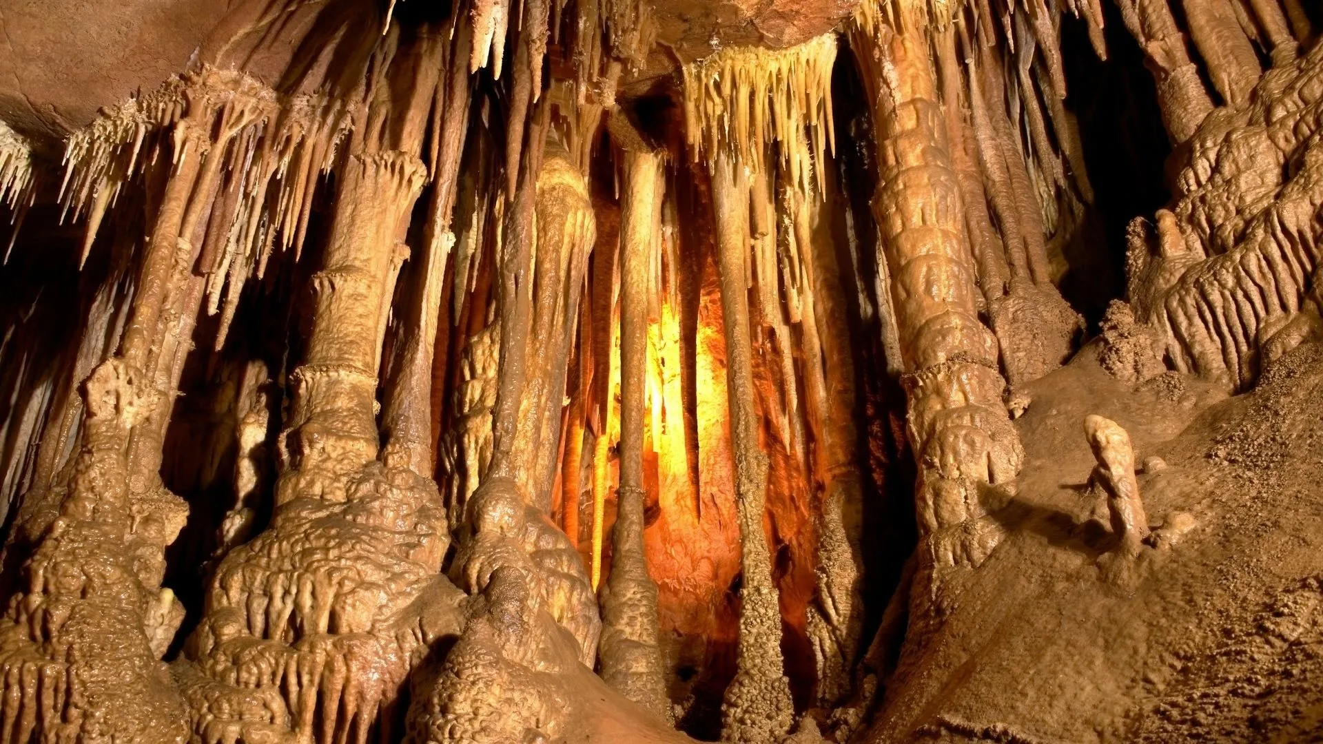 Aillwee Cave Burren History: A Secret Kept 30 Years
