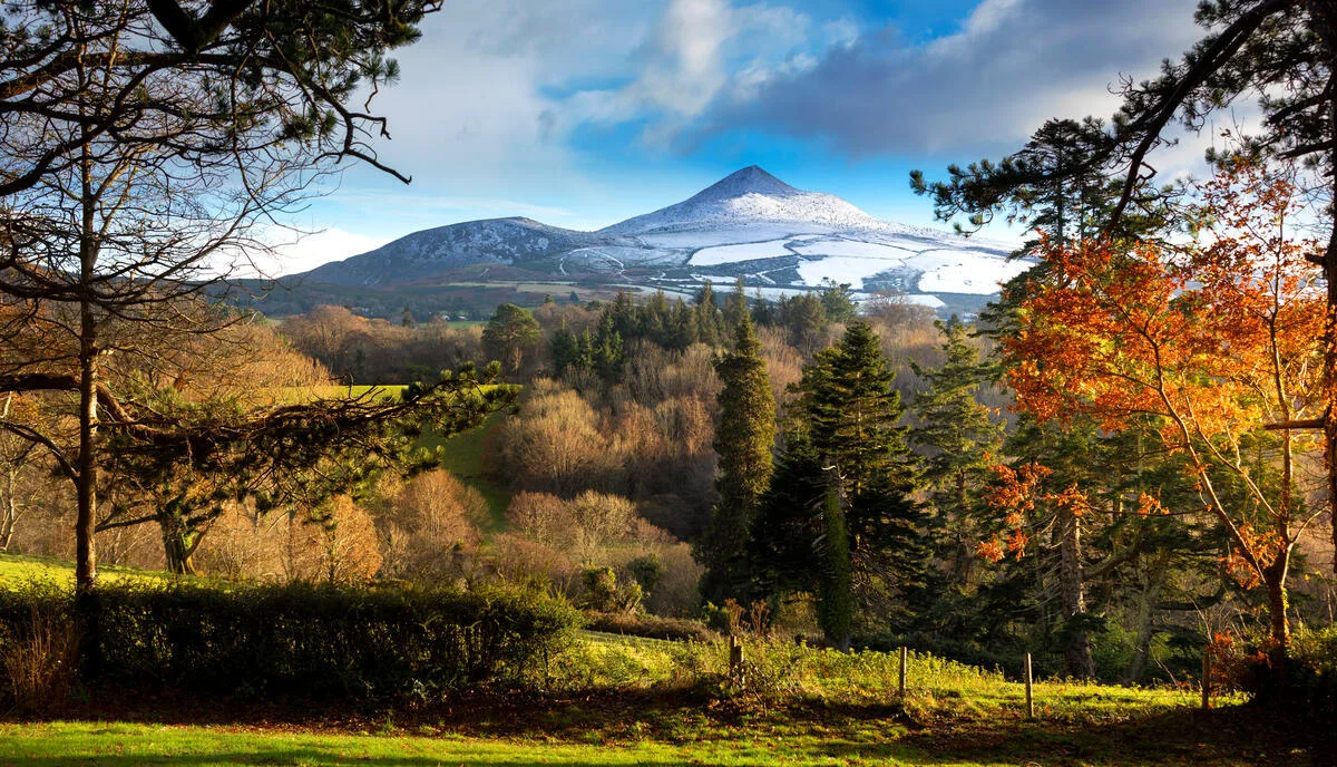 Walking the Wicklow Mountains — A Guide From People Who Know the Trails