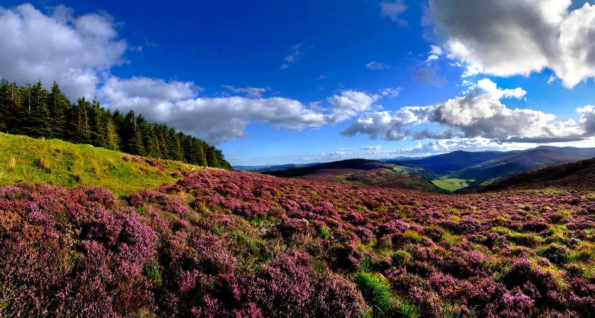 Walking holiday Ireland — gallery image 1