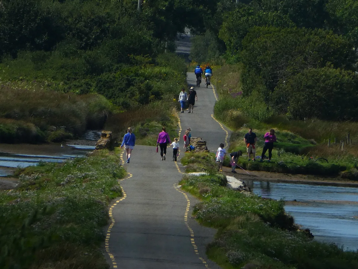 Walkers on a quiet country lane along the Dingle Way near Castlegregory, County Kerry - walking at its gentlest