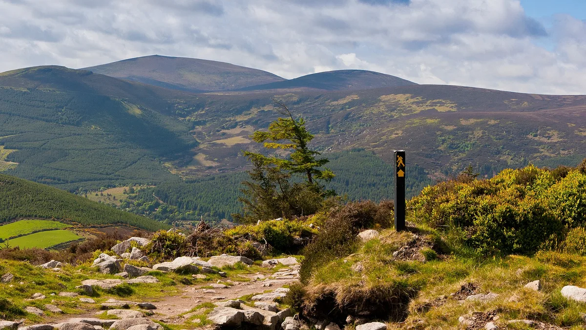 Waymarker post on the Wicklow Way overlooking the Glencree valley, a classic route for self-guided walking holidays in Ireland