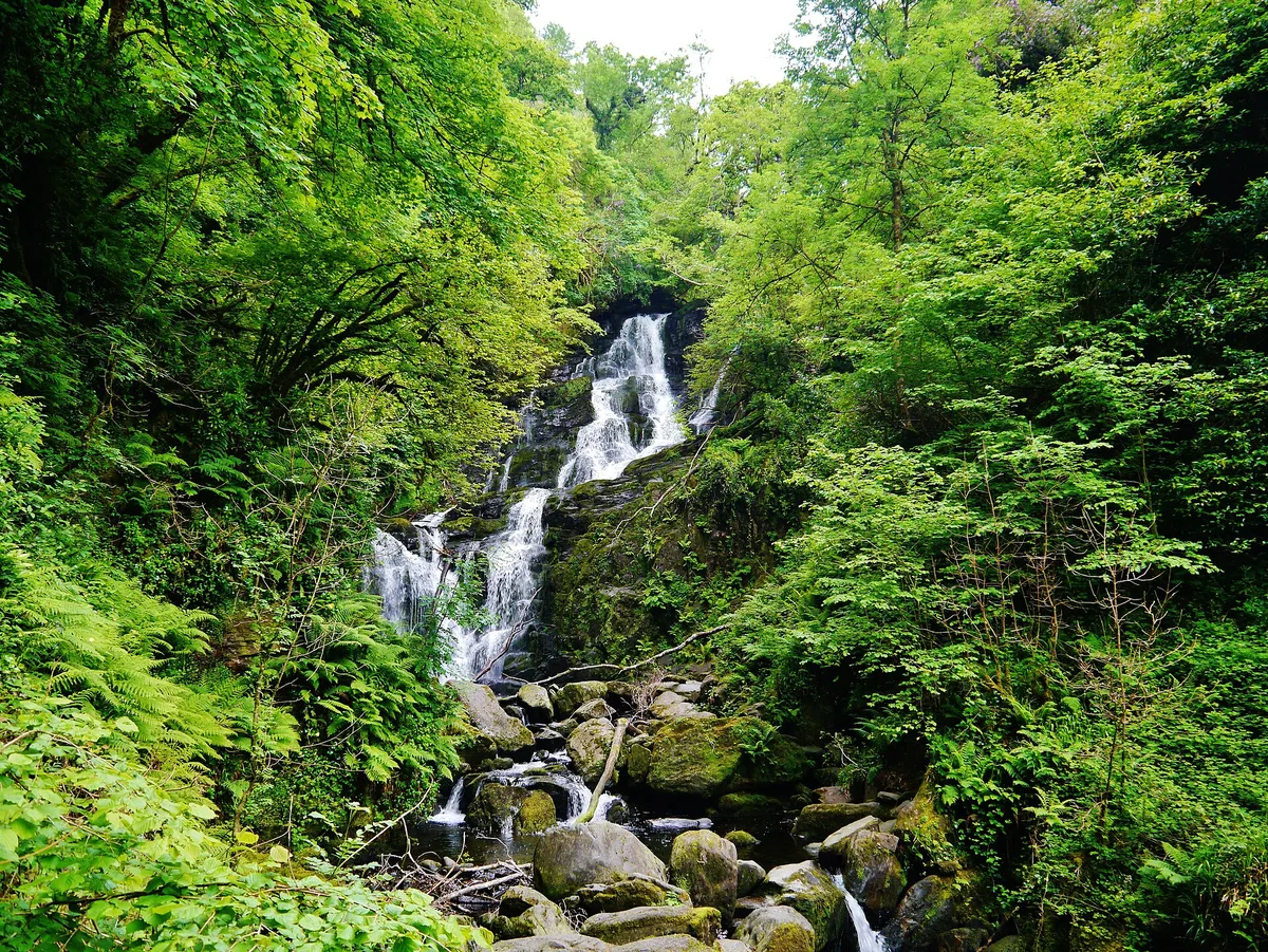 Torc Waterfall tumbling through green woodland, a highlight of the best hikes in Killarney National Park