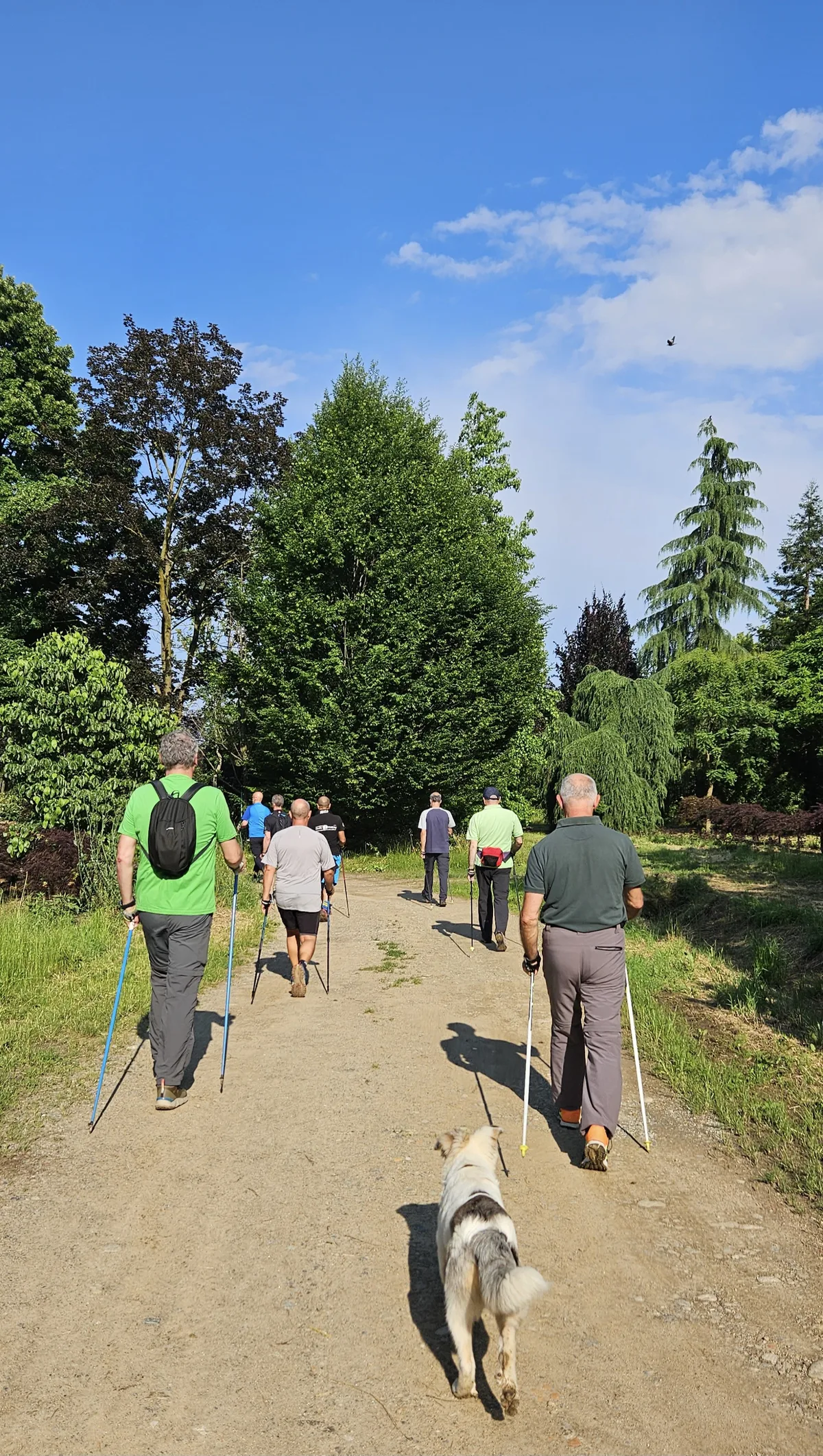 Group of walkers practising Nordic walking technique with poles on a flat gravel path