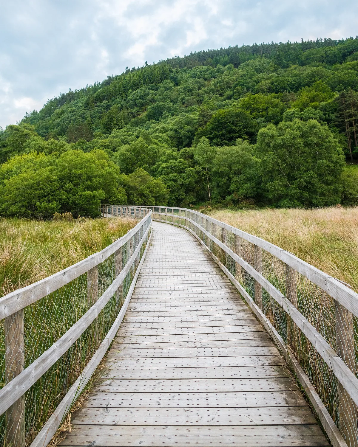Wooden boardwalk winding through the Glendalough valley, one of the best easy hikes in Ireland for beginners