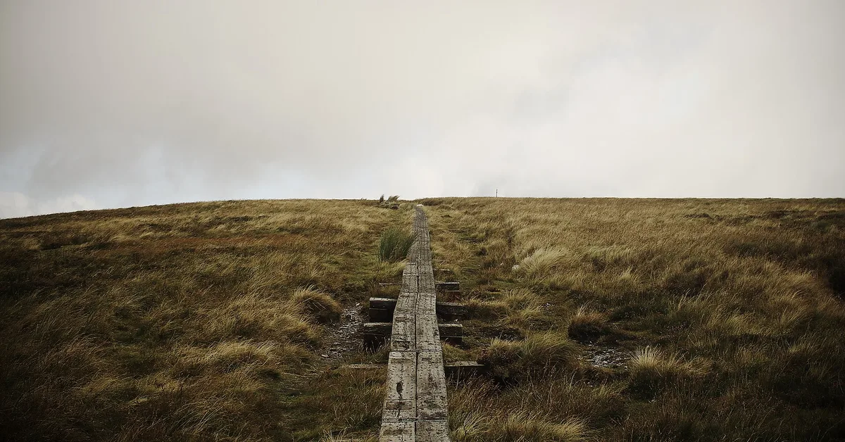 Wooden boardwalk crossing open bog on White Hill along the Wicklow Way