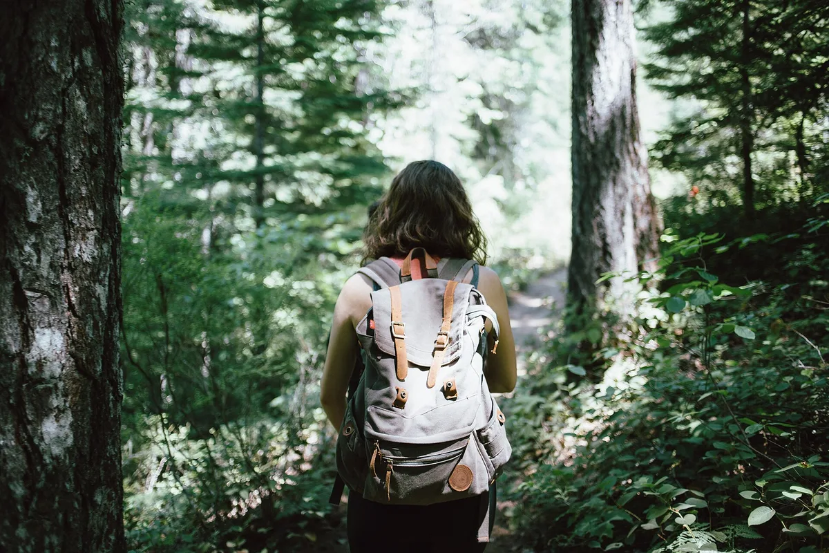 Walker carrying a daypack on a woodland trail, ticking off the walking holiday packing list
