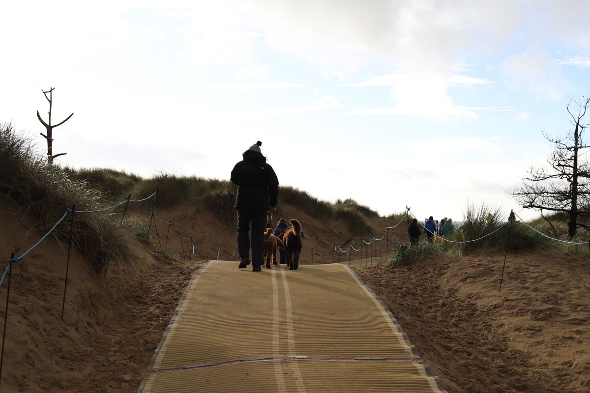 Hunde an der Leine auf einem Sandweg zum Strand — von Juni bis September gelten an Teilen der Causeway-Küste saisonale Strandverbote